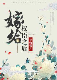 嫁给权臣之后封面