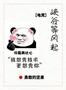 峡谷等风起[电竞]封面