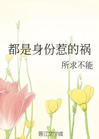 都是身份惹的祸封面
