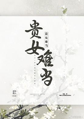 贵女难当封面