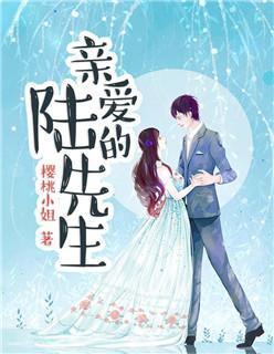 亲爱的陆先生封面