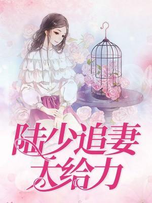 陆少追妻太给力封面