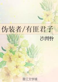 伪装者有匪君子封面