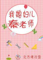 我媳妇儿秦老师封面