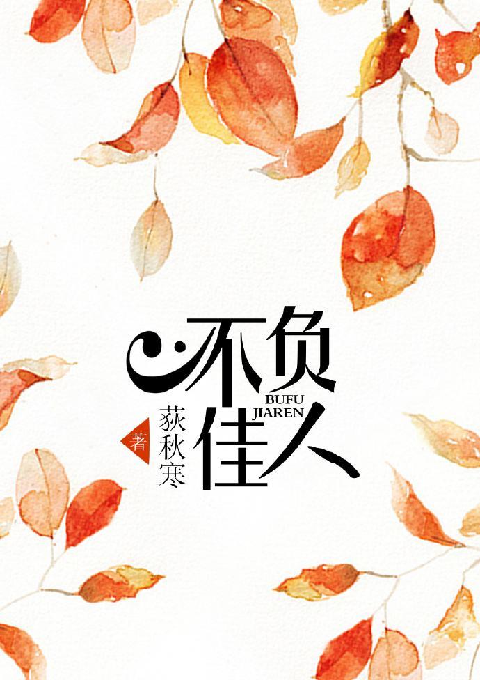 不负佳人封面