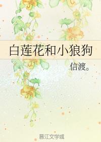 白莲花和小狼狗封面