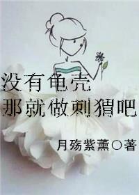 没有龟壳那就做刺猬吧封面