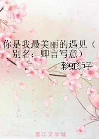 你是我最美丽的遇见封面