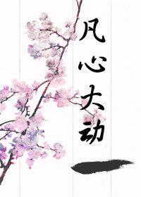 凡心大动封面