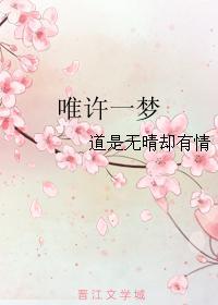 唯许一梦封面