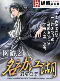 网游之名动江湖封面