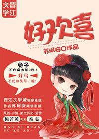 好欢喜封面