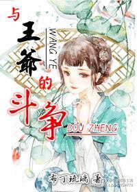 与王爷的斗争封面