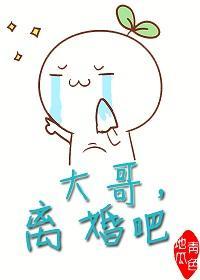 大哥，离婚吧封面