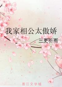 我家相公太傲娇封面