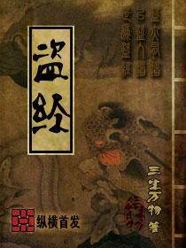 盗经封面