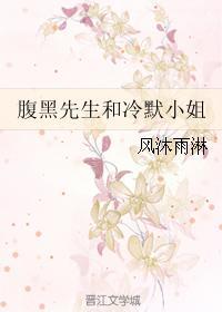 腹黑先生和冷默小姐封面