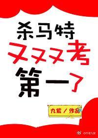 杀马特又又又考第一了封面