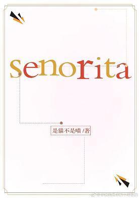 senorita封面