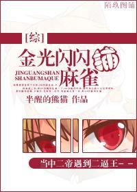 金光闪闪捕麻雀封面