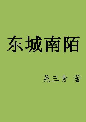 东城南陌封面