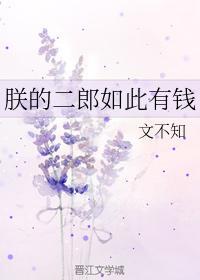 朕的二郎如此有钱封面