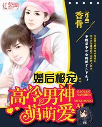 婚后极宠：高冷男神萌萌爱封面