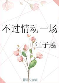 不过情动一场封面