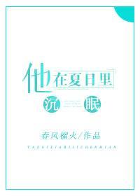他在夏日里沈眠封面