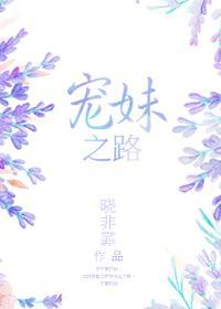 宠妹之路封面