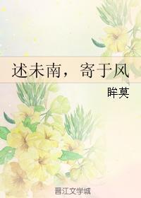 述未南，寄于风封面