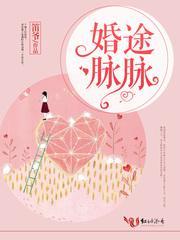 婚途脉脉封面