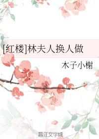 [红楼]林夫人换人做封面