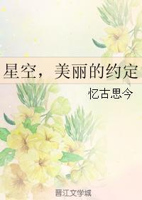 星空，美丽的约定封面