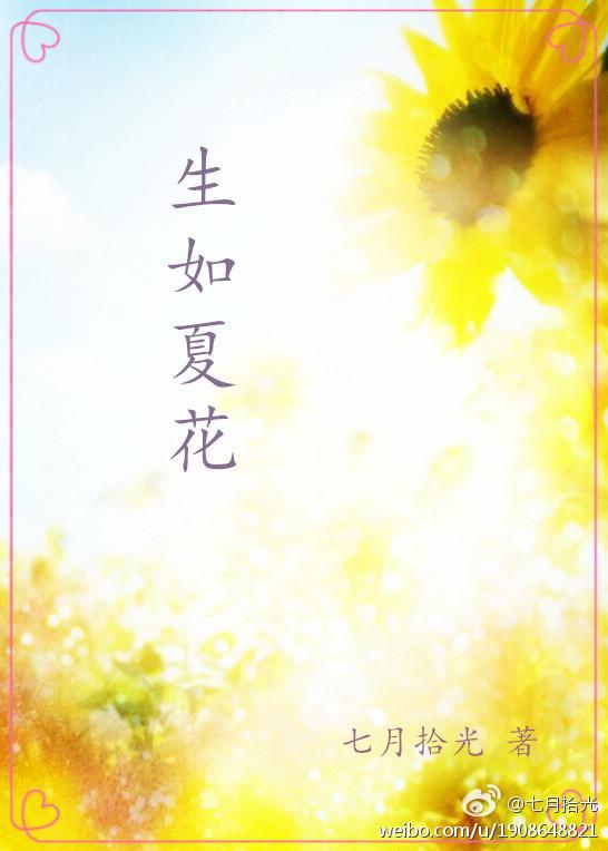 生如夏花封面