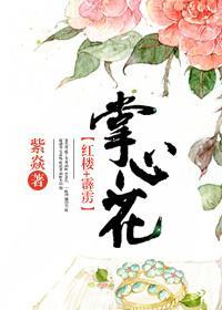 [红楼+霹雳]掌心花封面