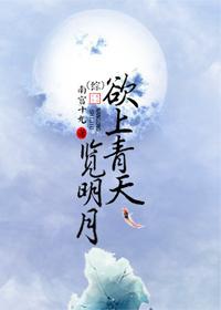 （综）欲上青天览明月封面