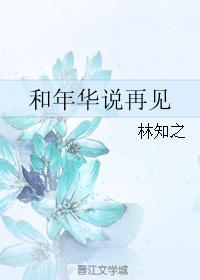 和年华说再见封面