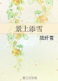 景上添雪封面