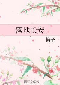 落地长安封面