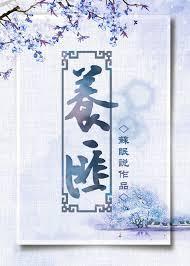 养匪封面