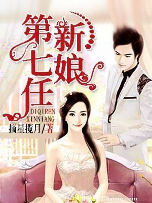第七任新娘封面