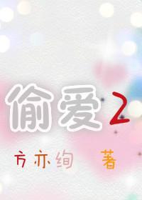 偷爱Ⅱ封面