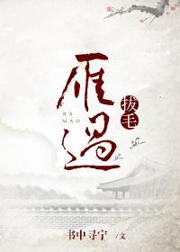雁过拔毛封面