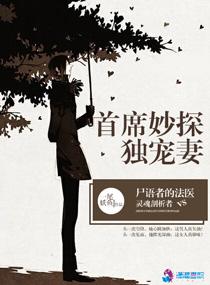 首席妙探独宠妻封面