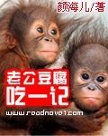 老公豆腐吃一记封面