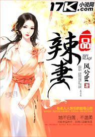 一品辣妻封面