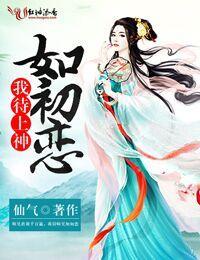 我待上神如初恋封面