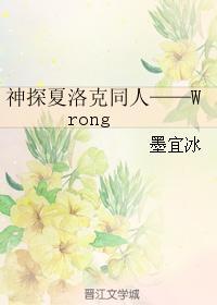 神探夏洛克同人——Wrong封面