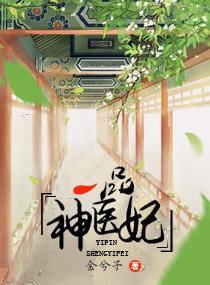 一品神医妃封面